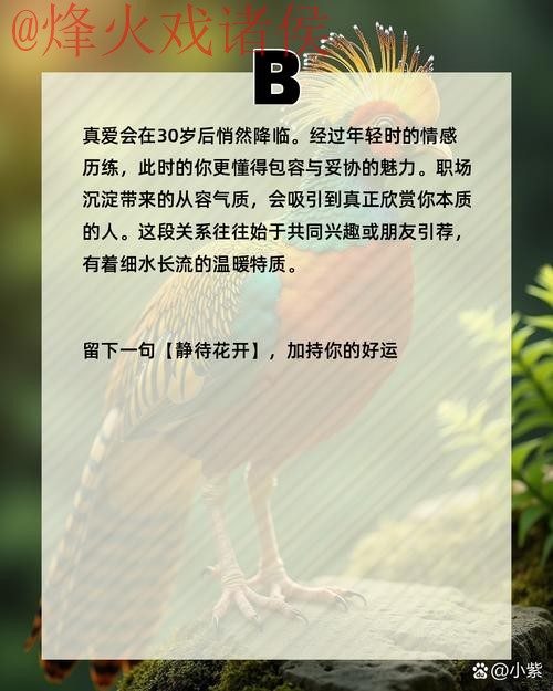 使用智能手机进行世界杯预测的最佳方法