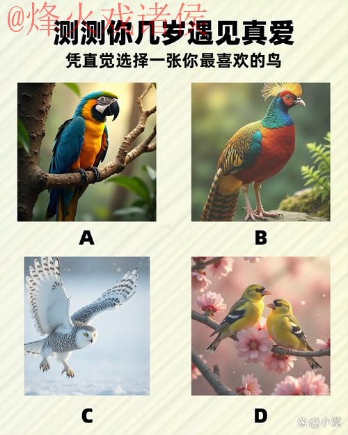 使用智能手机进行世界杯预测的最佳方法